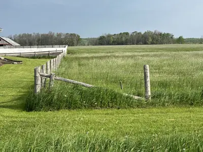 Picture of a field with a page wire fence outlining the perimeter.